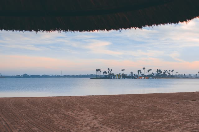 The beach, palm trees and the bay in Mission Bay.