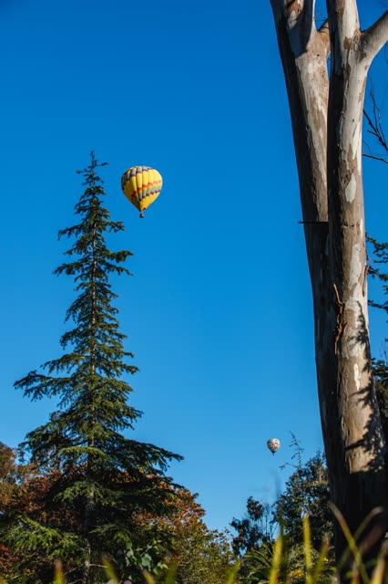Hot Air Balloons flying over the Golf Course in Rancho Santa Fe Covenant | Photo – 15
