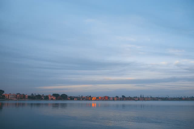 The beach, palm trees and the bay in Mission Bay.