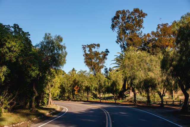 A residential street, palm trees and open country at Covenant.