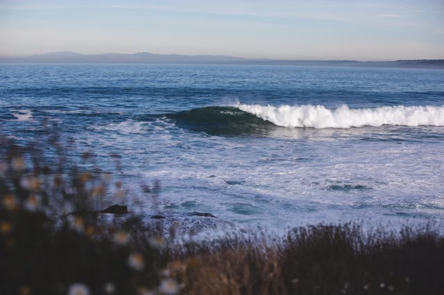 Elevated view of the cliffs, the surf and the ocean at La Jolla Cove.