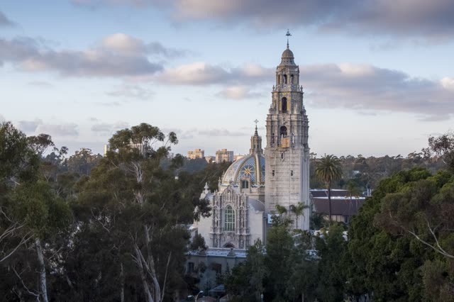 Low aerial view of a park, the skyline and palm trees in Balboa Park.