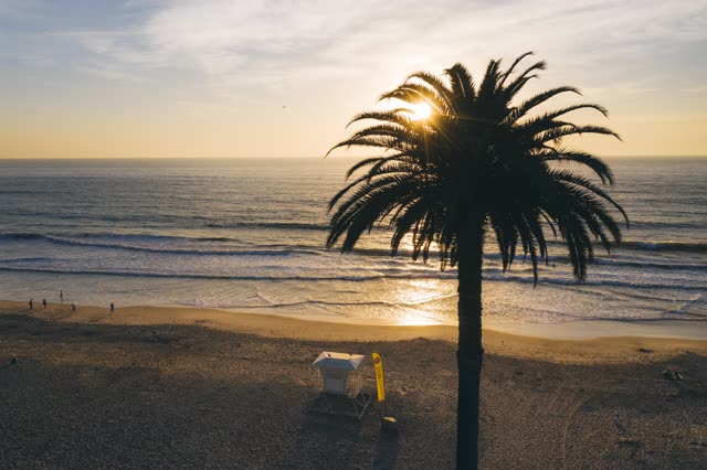 Low aerial view of the beach, the surf and palm trees at Moonlight Beach, with people walking.