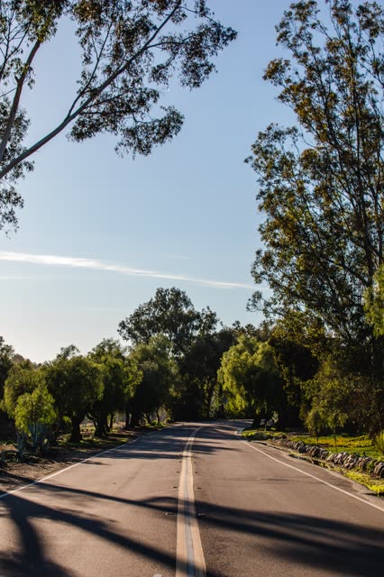 The country inland, traffic and open country at Covenant.
