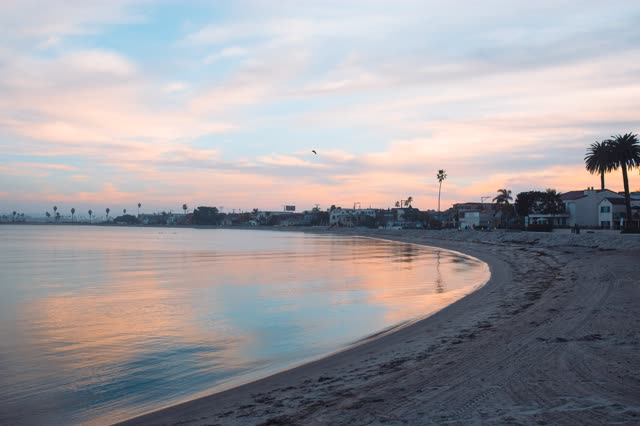 The beach, palm trees and the bay in Mission Bay.