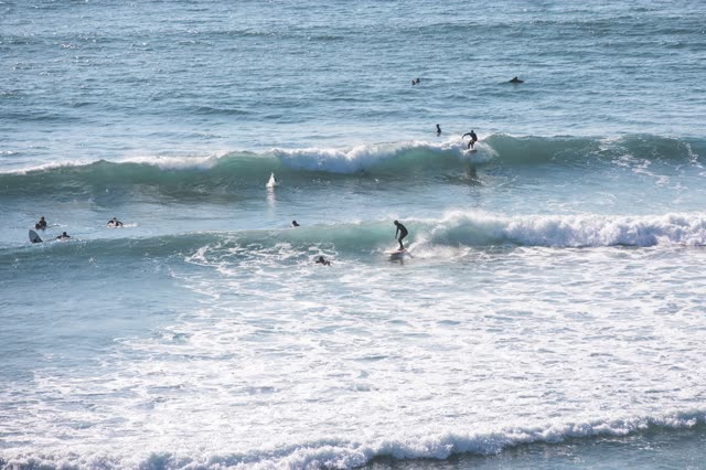 Low aerial view of the beach, the surf and the ocean in Encinitas, with surfers out.