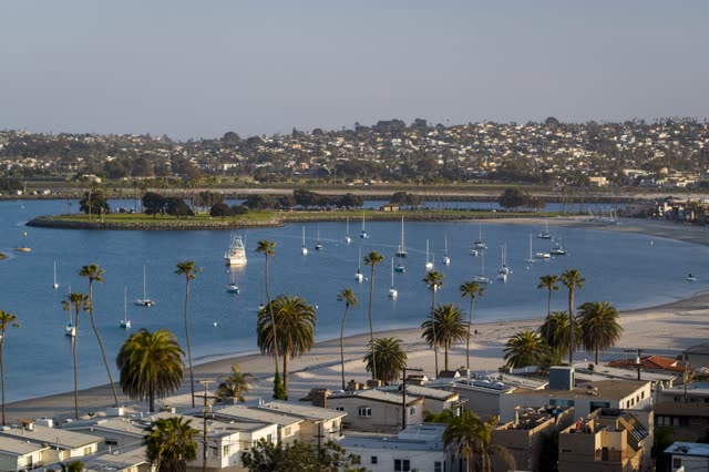 Aerial view of the harbor, boats and palm trees in Mission Bay, with boats out.