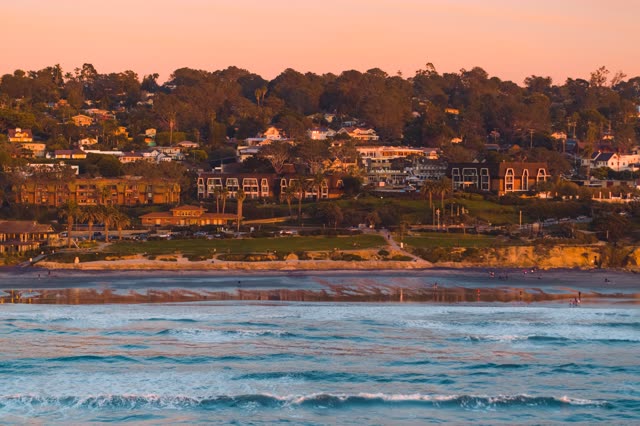 View from the water of the beach, the surf and palm trees in Del Mar.