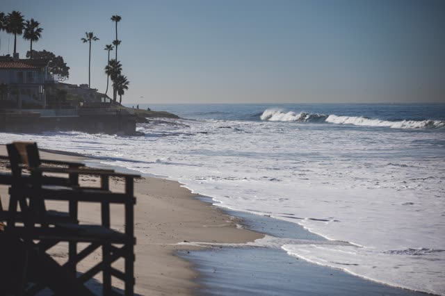 The beach, the surf and palm trees in La Jolla.