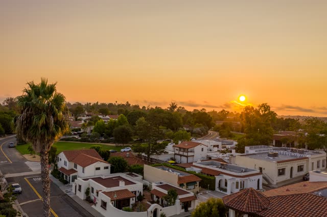 Low aerial view of a residential street, palm trees and homes at Covenant.