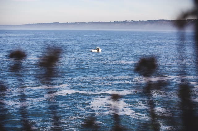 Elevated view of the cliffs, boats and the ocean at La Jolla Cove, with boats out.