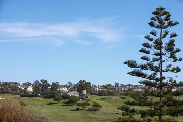 A residential street, palm trees and homes in Encinitas, with people walking.
