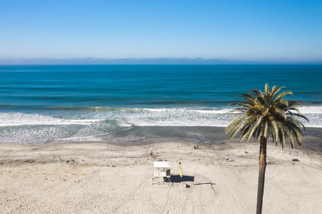 Aerial view of the beach, the surf and palm trees at Moonlight Beach, with people walking.