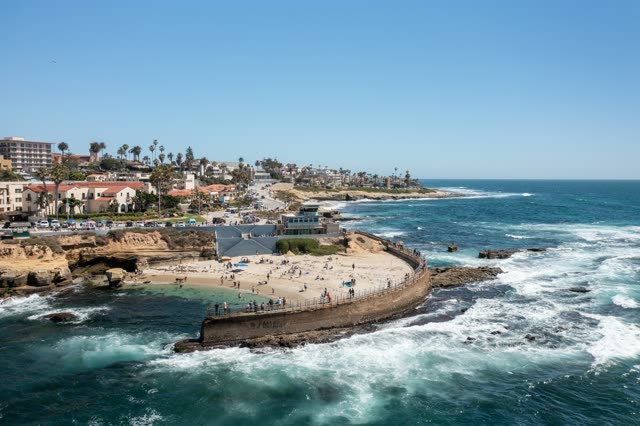 Aerial view of the beach, the surf and palm trees at La Jolla Cove, with swimmers in the water.