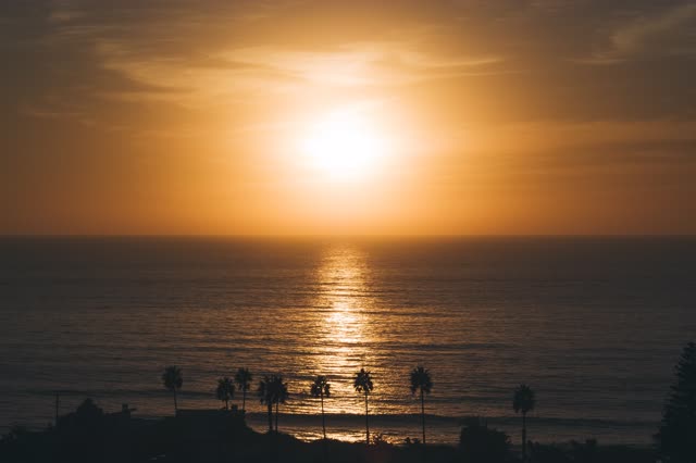 Elevated view of the beach, palm trees and the ocean at Moonlight Beach.
