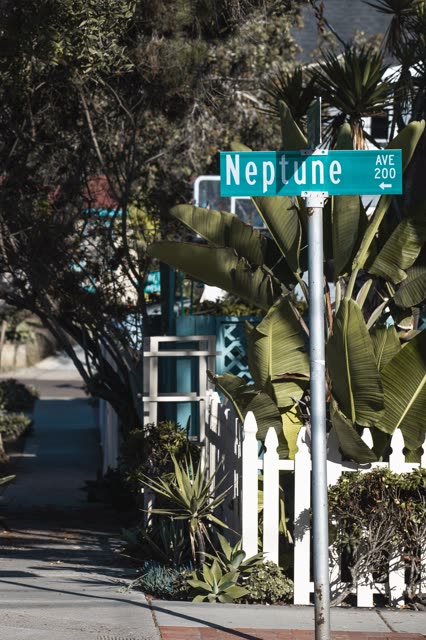 A residential street, palm trees and homes in Encinitas.