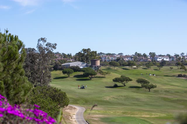 A park, palm trees and homes in Encinitas, with a work crew on site.
