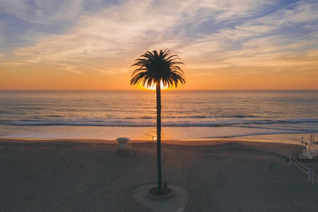 Moonlight Beach in Encinitas | Drone Photo #65