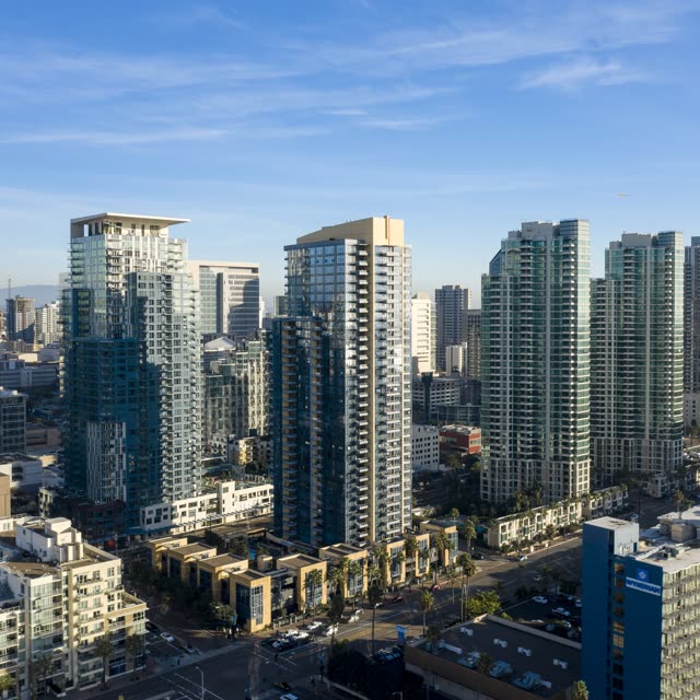Aerial view of the downtown streets, the skyline and palm trees at Waterfront.