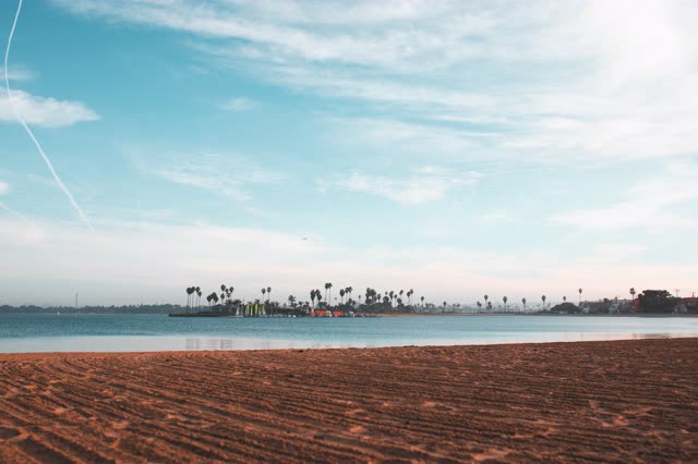 The beach, palm trees and the bay in Mission Bay.