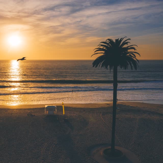 Low aerial view of the beach, the surf and wildlife at Moonlight Beach.