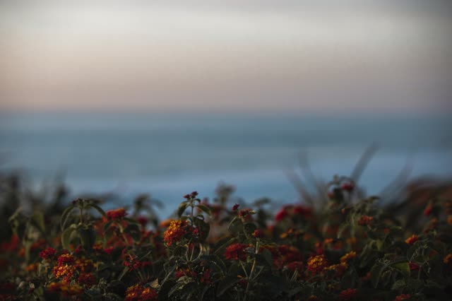 The cliffs, the ocean and open country at Moonlight Beach.