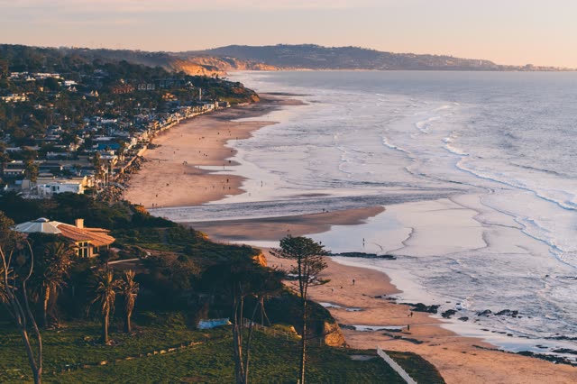 Aerial view of the beach, the surf and palm trees in Del Mar, with people walking.