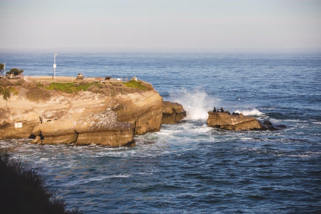 Elevated view of the cliffs, the surf and wildlife at La Jolla Cove.