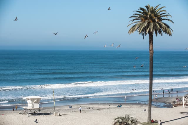 Moonlight Beach in Encinitas | Drone Photo #11