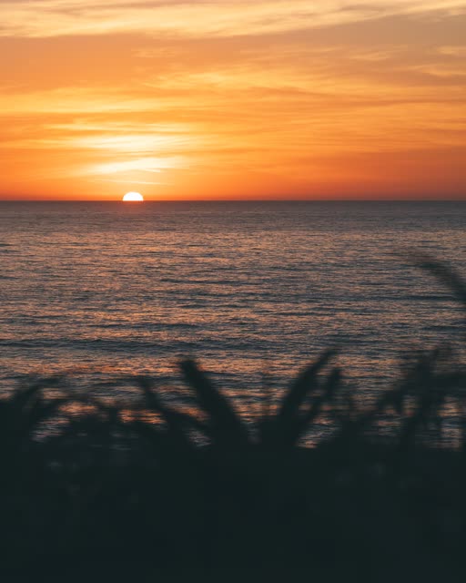 Moonlight Beach in Encinitas | Drone Photo #27